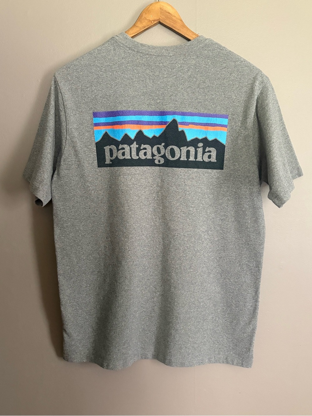 Patagonia Gray Short-Sleeve Tee Size Small
